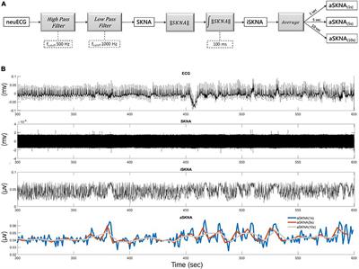 Alterations of sympathetic dynamics after atrial fibrillation ablation by analysis sympathetic nerve activity provide prognostic value for recurrence and mechanistic insights into ablation